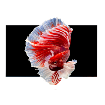 Светодиодный экран, шаг пикселя 1,25 мм, 600-800 нит, угол просмотра 160/160 град., 7000:1, фронтальный доступ, IP30, 600x337x40 мм, 6,5 кг AET NX-1.25MM